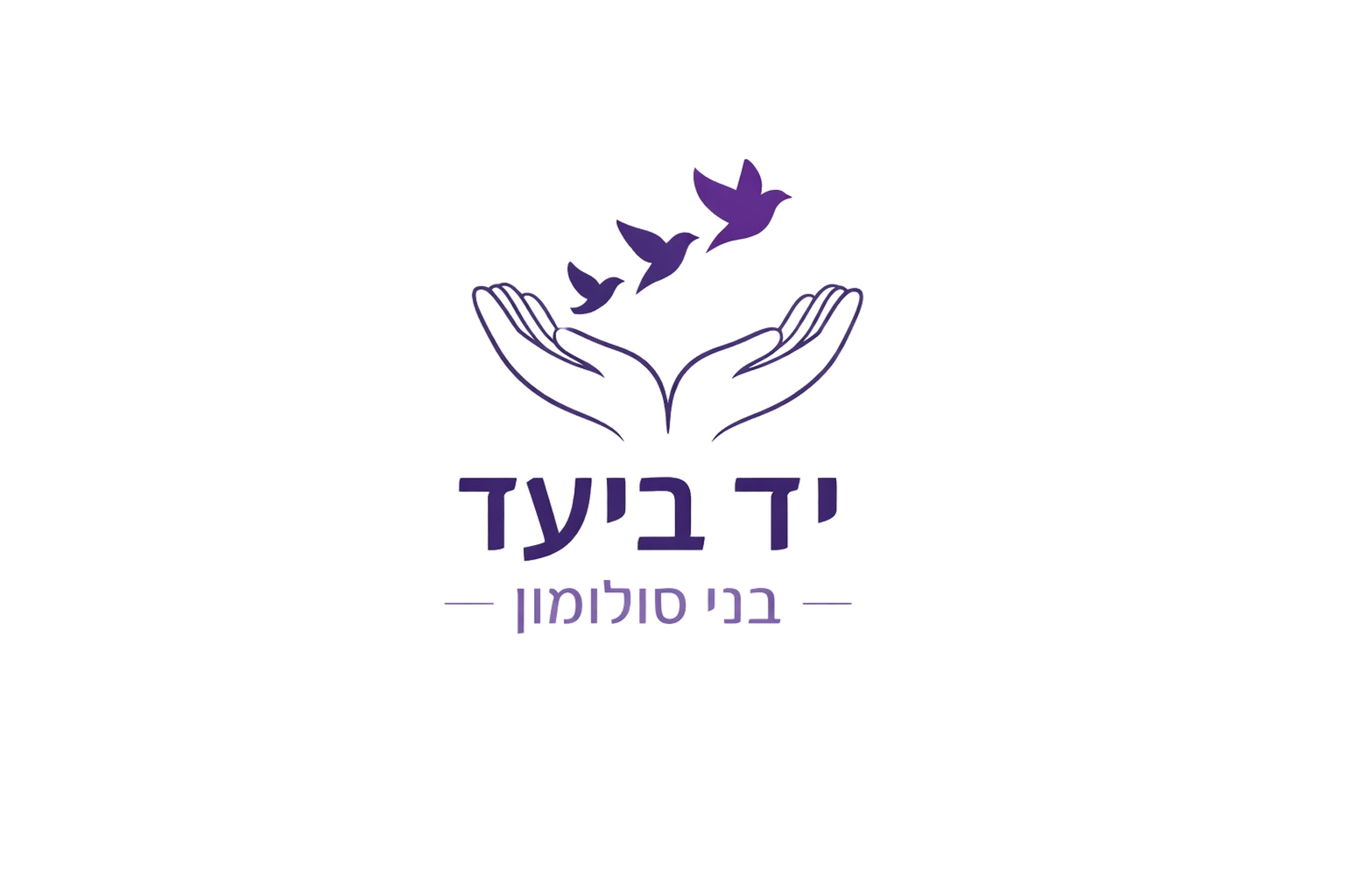לוגו בני סולומון