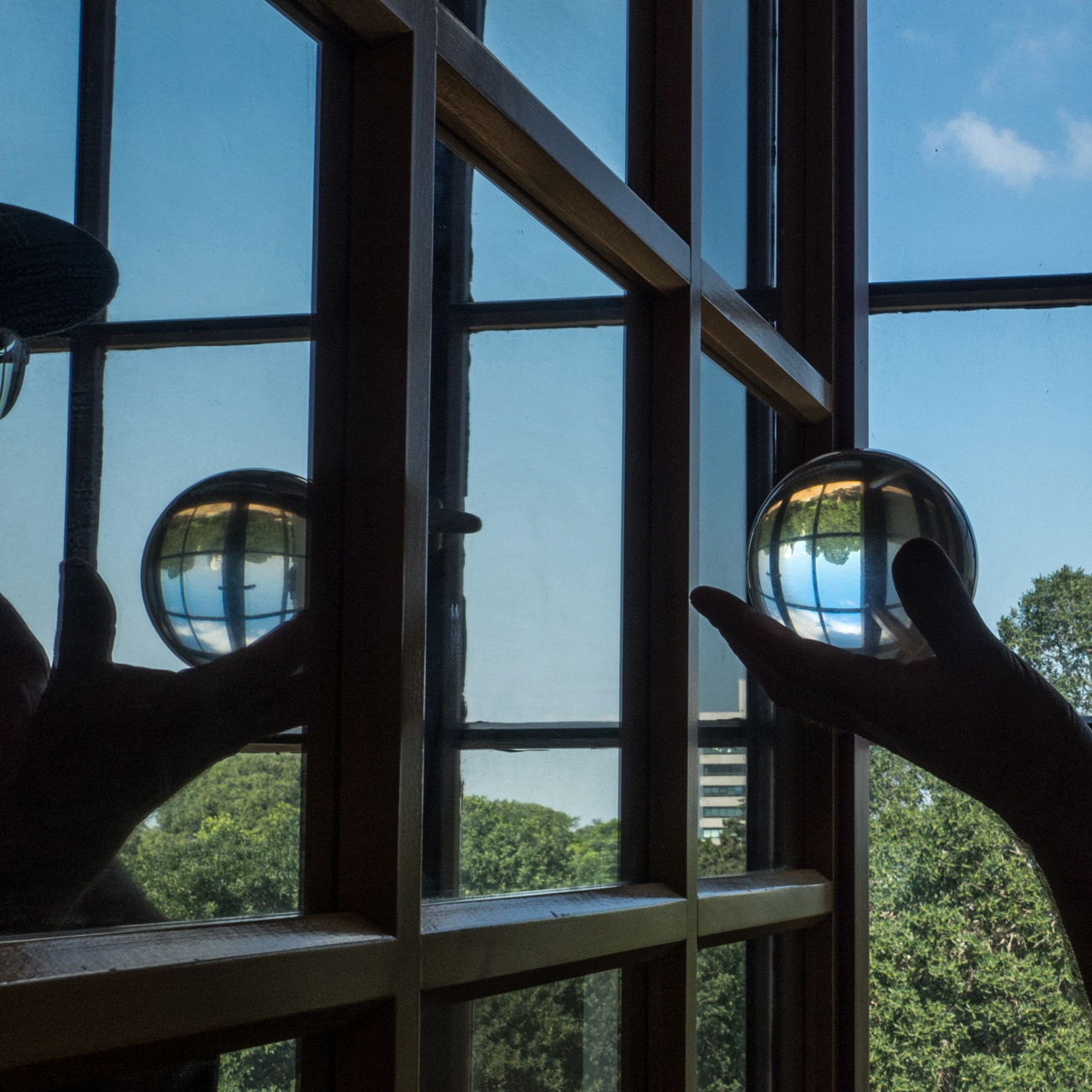 תיבת אומני החושים